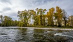 Montana Fly Fishing