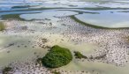 Ascension Bay