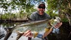 tarpon on fly