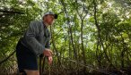 mangrove fishing