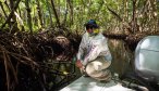 tarpon fly fishing