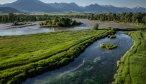 Spring creek fishing