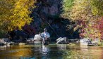 Mountain stream fishing
