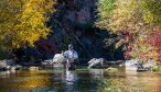 Mountain stream fishing