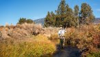 Small stream fishing in Montana