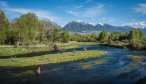 Long, technical casting is often required to fool Armstrong's cagey trout