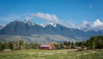 The high peaks od the Absaroka Mountains form a compelling backdrop when fishing Armstrong Spring Creek