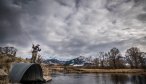 A high vantage point reveals the many trout in Armstrong Spring Creek