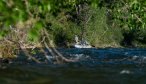 An angler casts from a raft on the Boulder River near McLeod, Montana