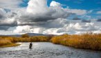 Fall fishing on the East Gallatin River