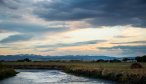 The East Gallatin River has excellent evening hatches