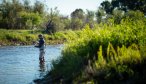Early summer flows offer the best chance to fish the Jefferson
