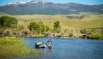 Riffles and runs provide habitat for the Jefferson's native trout