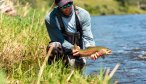 A fly fisherman admires a rainbow trout caught on the Jefferson River