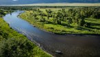 Spring snowmelt turns the Jefferson River Valley verdant green