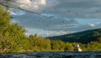 Madison River during the Mother's Day Caddis hatch