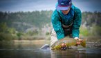 An angler releases a brown trout on the Missouri River