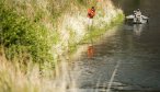 Stalking the banks looking for rising trout on the Mo