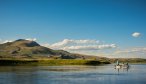 Where the mountains meet the prairie