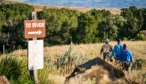 Western scenery abounds on the Ruby River