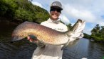 Arapaima in Brazil