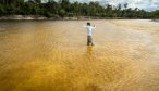 Fly fishing Brazil