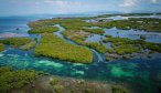 Cuba fishing trip