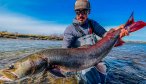 Taimen fishing in Mongolia