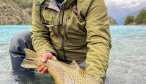 Chile giant brown trout