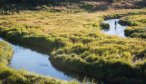 small stream fishing Montana fly fishing