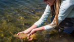 private water fishing montana brown trout