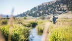 small stream fishing Montana