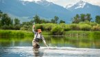 spring creek fishing in Montana fly fishing