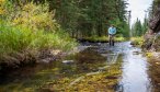 Small stream private access fishing in Montana