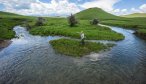 Montana small stream ranch fishing