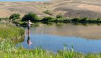 Montana private lake fishing dry flies