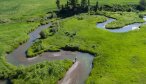 small stream meadow fishing