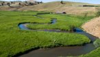 small streams in MT