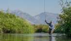 wading private streams montana dry flies