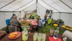 Camp dinner