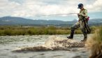 Madison river fishing