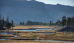 Fly Fishing in Yellowstone on the Madison River