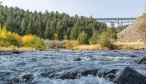 Fly Fishing in Yellowstone Park