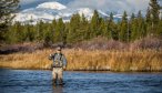 Fly Fishing in Yellowstone National Park