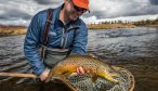 Fly Fishing in Yellowstone National Park - Brown Trout