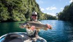 Huge brown trout in Los Alerces National park Argentina floating