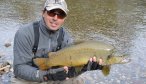 Big brown trout Argentina