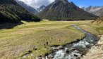 Cedar Lodge New Zealand Fly Fishing