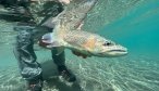 New Zealand Fly Fishing lodges