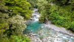 Cedar Lodge New Zealand Fly Fishing